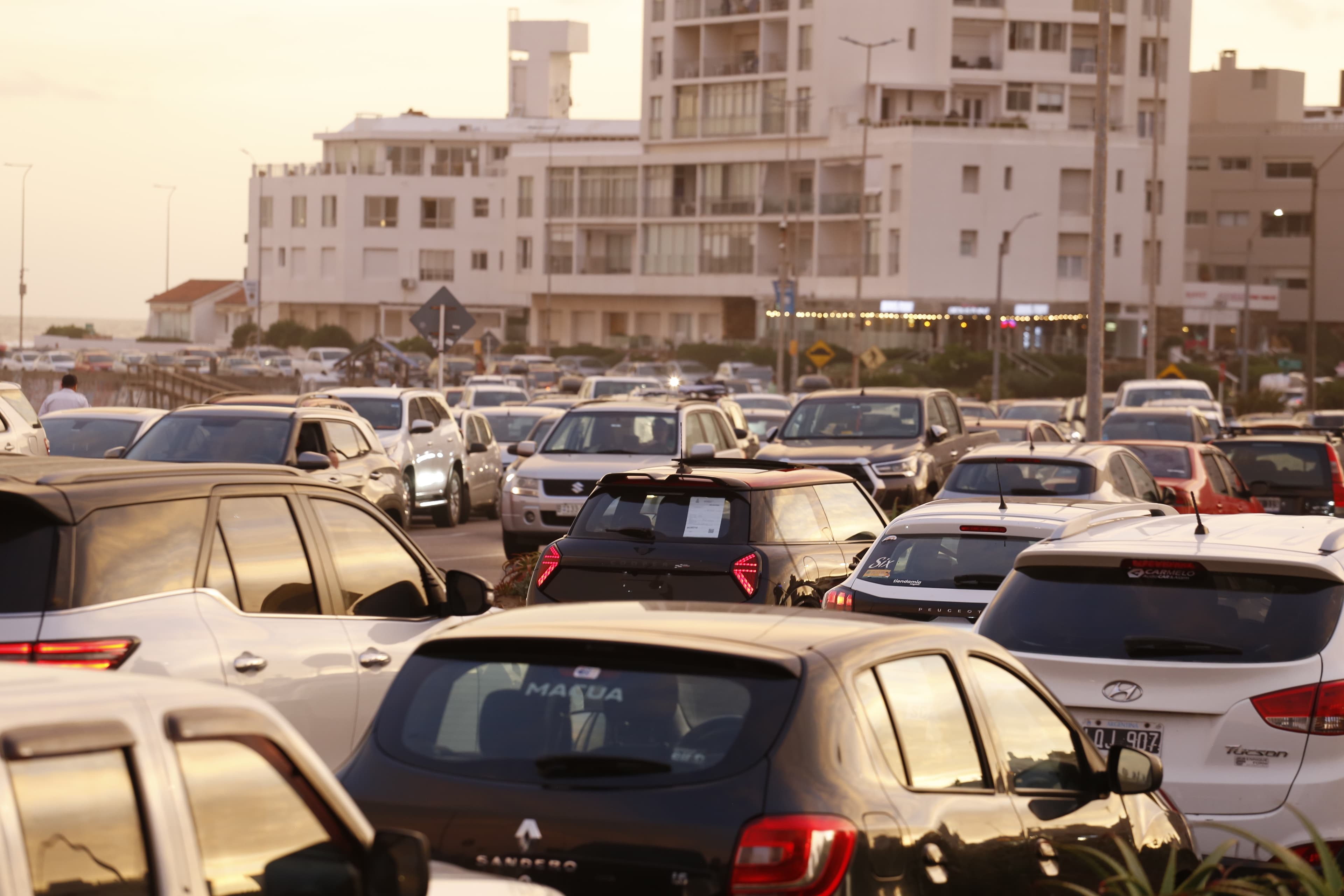 Departamento de Movilidad de la IDM procesó 881 trámites de licencias de conducir en menos de una semana